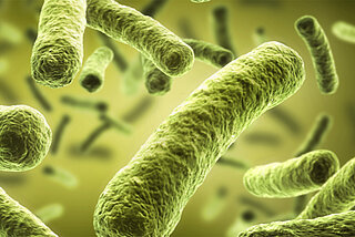 Microbial growth leads to the formation of what is commonly known as "diesel bug"