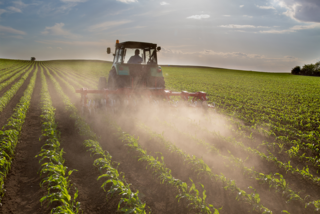 Hoeing blades in a field – clever machines with HYDAC systems.