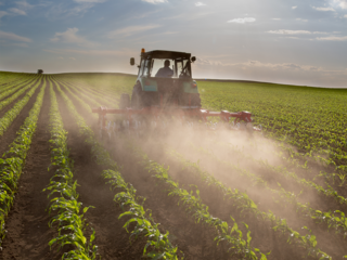 Hoeing blades in a field – clever machines with HYDAC systems.