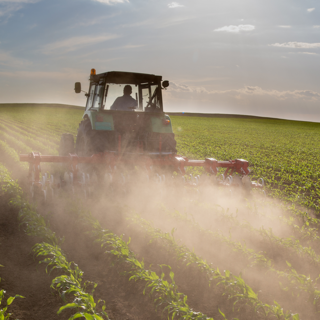 Hoeing blades in a field – clever machines with HYDAC systems.