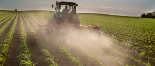 Hoeing blades in a field—clever machines with HYDAC systems.