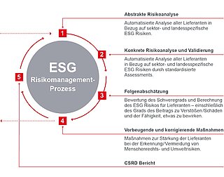 Eine Darstellung des jährlichen ESG Risikomanagement-Prozesses